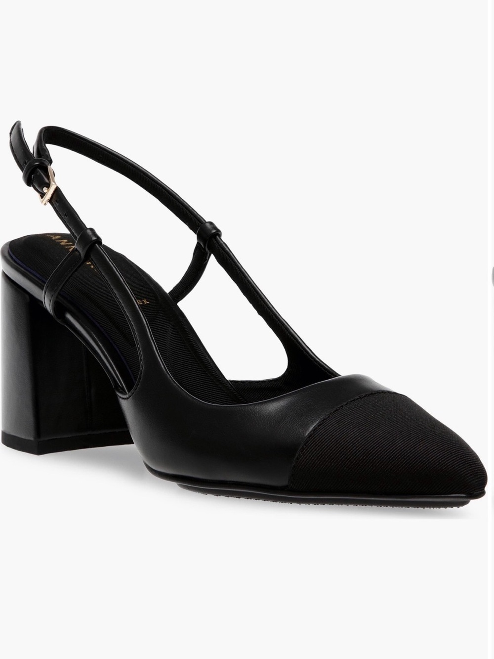 Anne Klein Brinlee Pointed Toe Pump